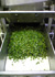 Square cutting vegetables into 6mm (350RPM Speed) 